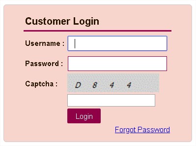 SSMMS Customer Login On TS Sand Portal