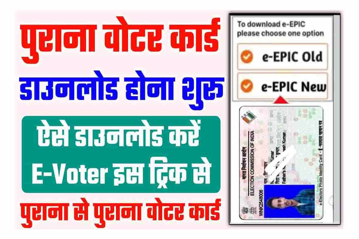 Votar Id Card Download