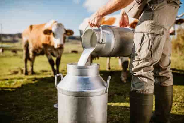 Government is giving to start dairy business