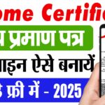 bihar-income-certificate-kaise-banaye:-घर-बैठे-ऑनलाइन-ऐसे-बनाएं-आय-प्रमाण-पत्र,-पूरी-प्रक्रिया-और-जरूरी-दस्तावेज