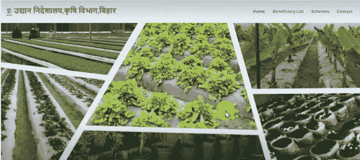 Bihar Nariyal Paudha Yojana 2025