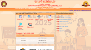 How To Download Rajasthan BSTC Answer Key 2025?