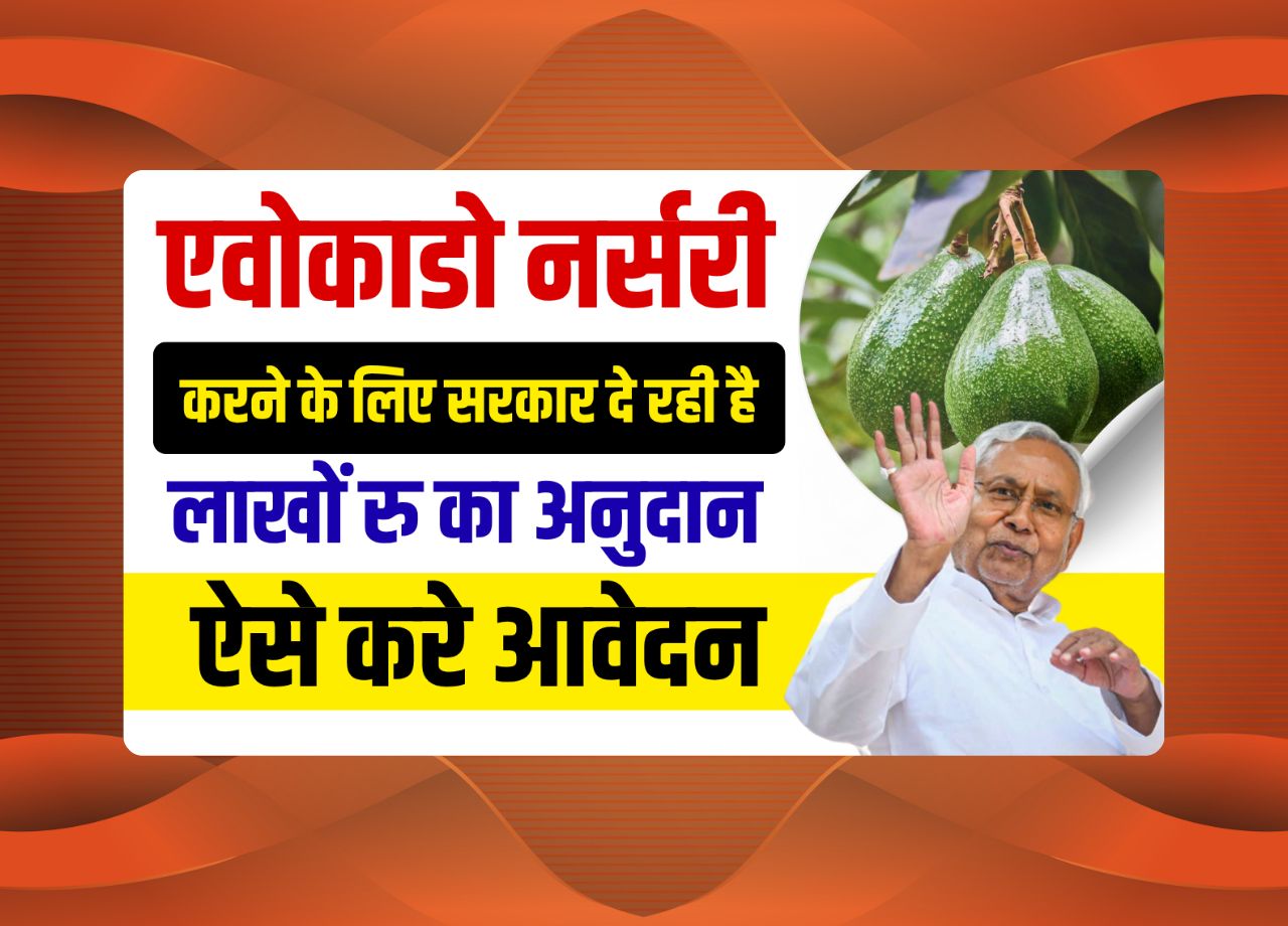Bihar Avocado Nursery Yojana 2025